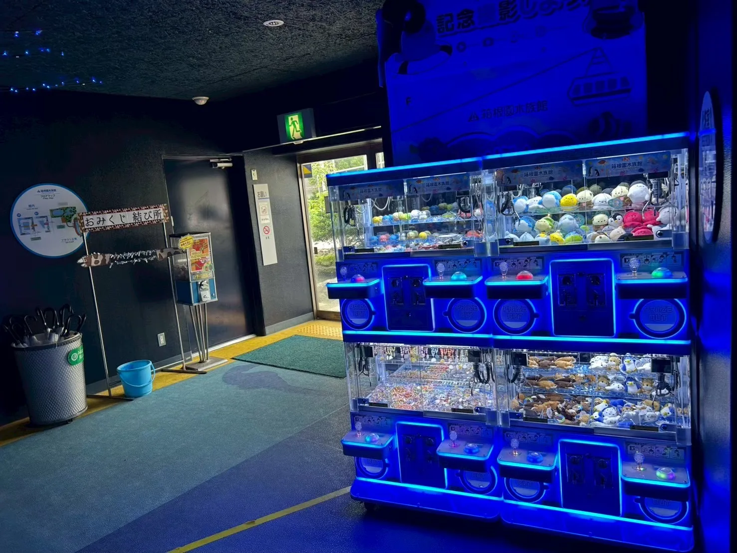 水族館の出口エリアに並ぶ、青くライトアップされた小型クレーンゲーム機