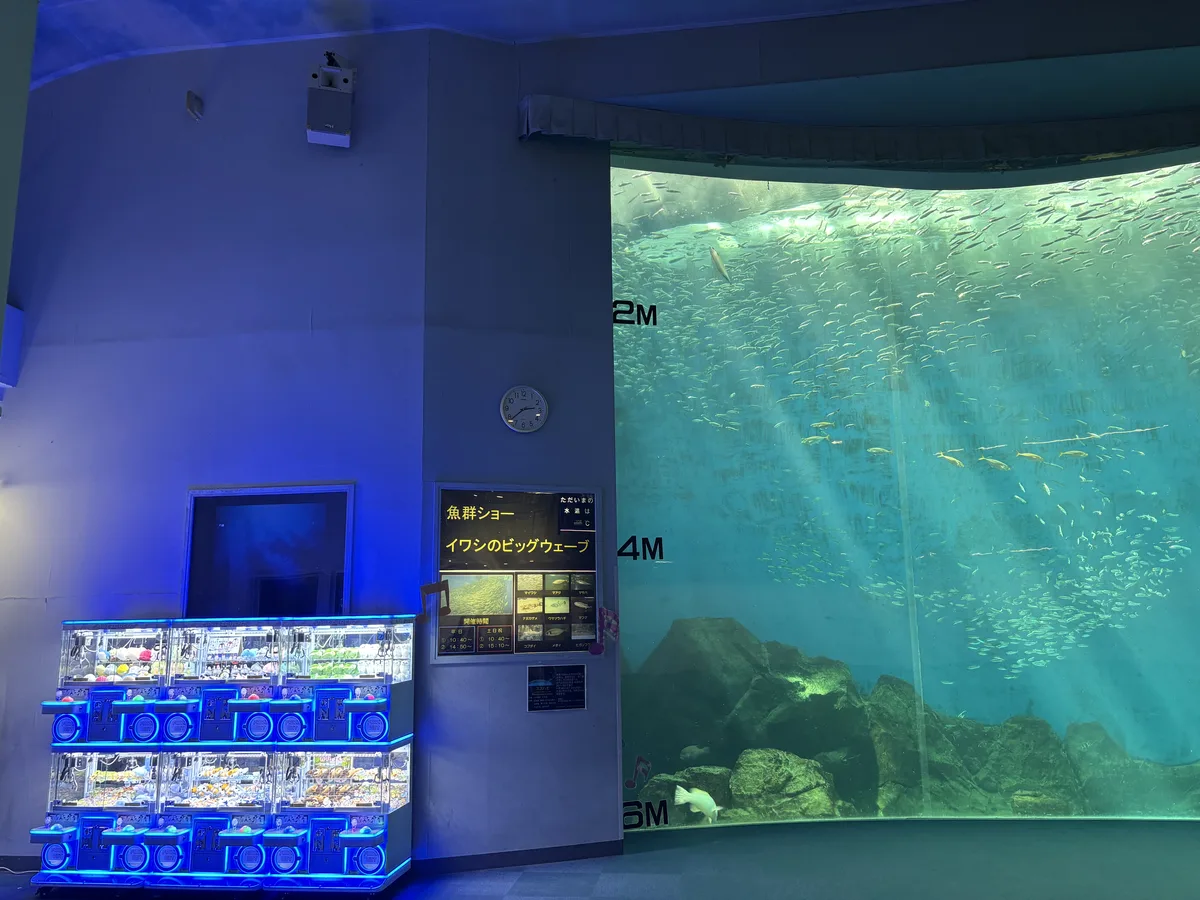 水族館の大水槽の横に設置された小型クレーンゲーム機